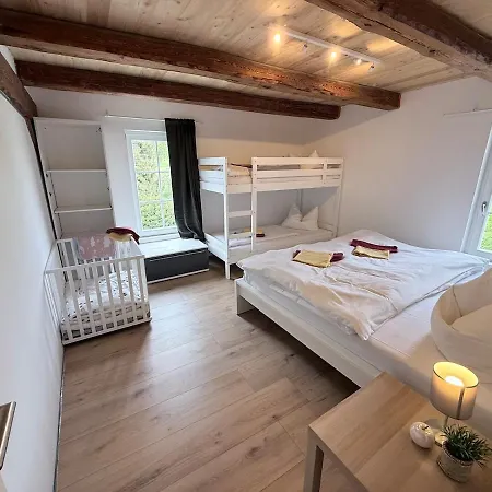 Apartment Wunderschoene Ausgebaute Scheune 15 Betten - 4